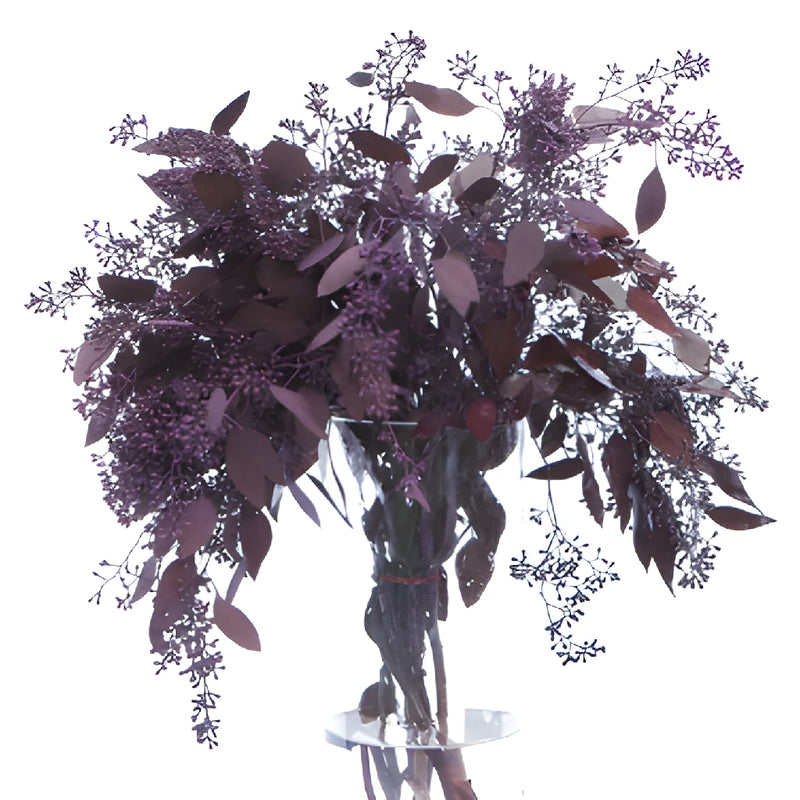 Eggplant Seeded Eucalyptus for Weddings
