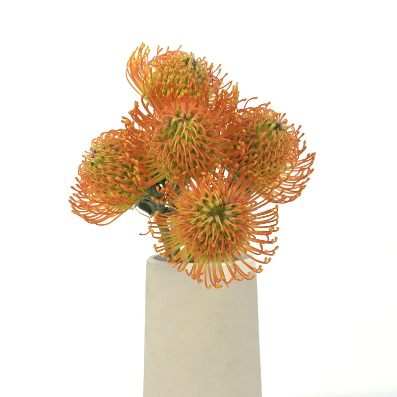 Electric Orange Pin Cushion Flower Vase - Image