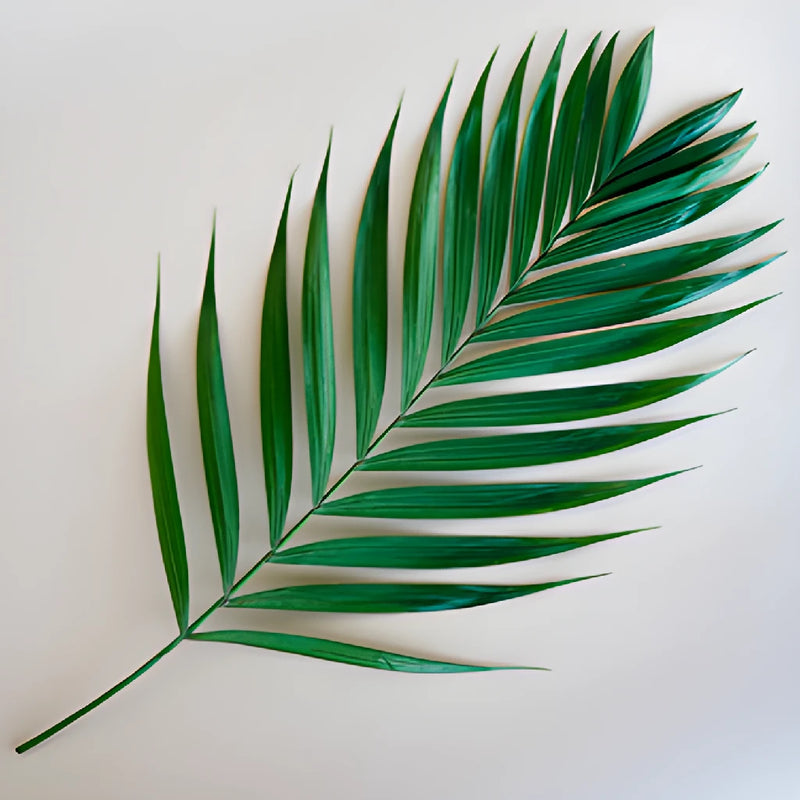 Emerald Palm Greens