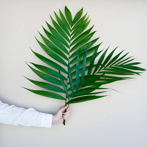 Emerald Palm Greens