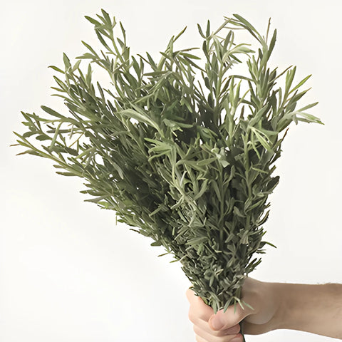 English Lavender Greenery Wholesale DIY Flower Kit In a Hand