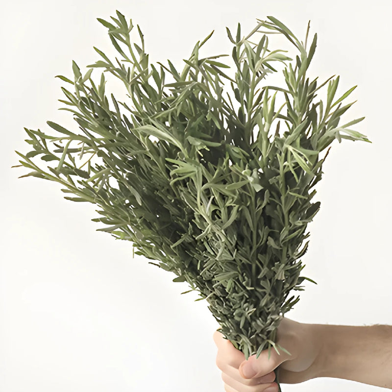 English Lavender Greenery Wholesale DIY Flower Kit In a Hand