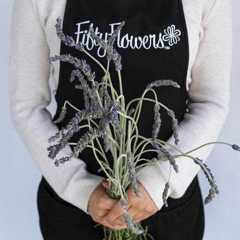 english lavender plants wholesale Buy Wholesale English Lavender Flower in Bulk