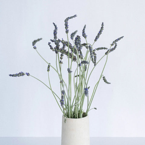 English Lavender Flower Vase - Image