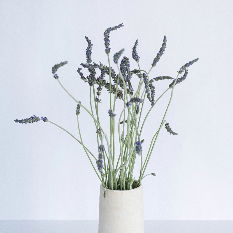 English Lavender Flower Vase - Image