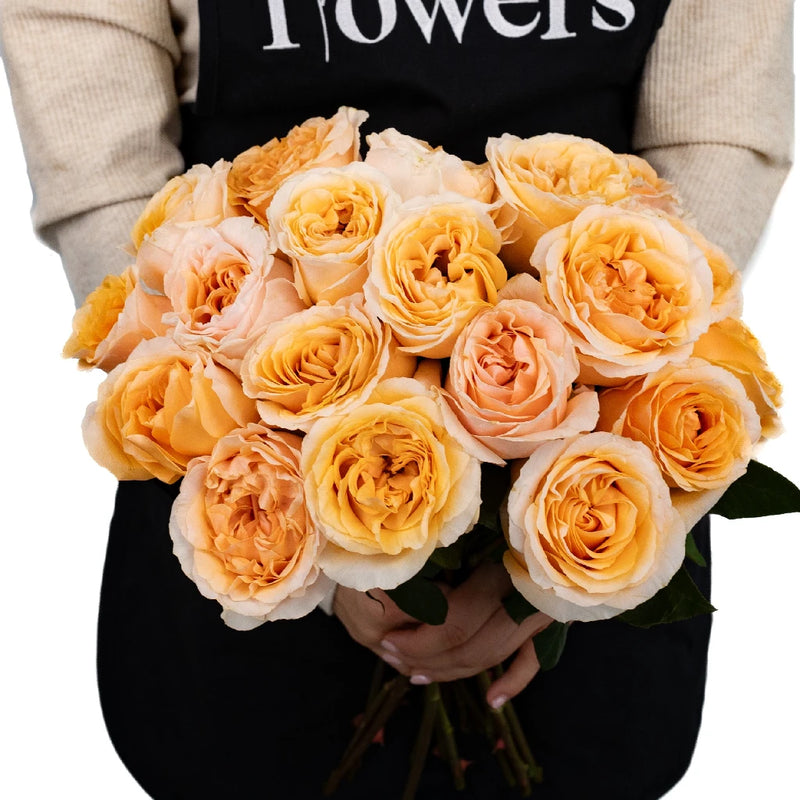 Epic Wholesale Rose Apron - Image