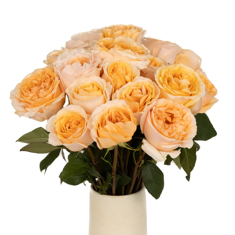 Epic Wholesale Rose Vase - Image
