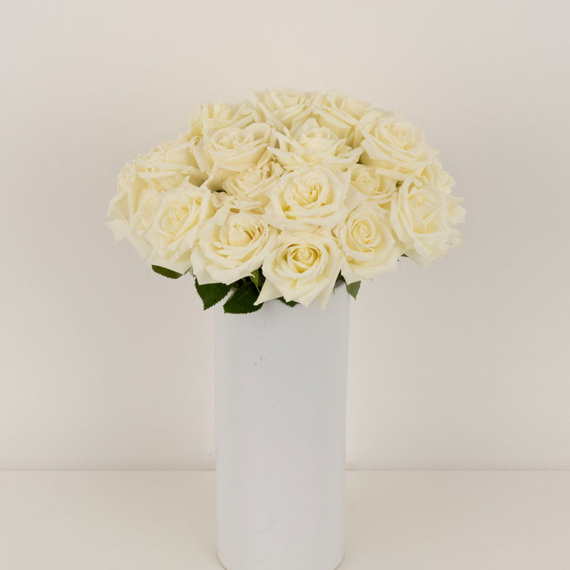 Eskimo White Rose Vase - Image