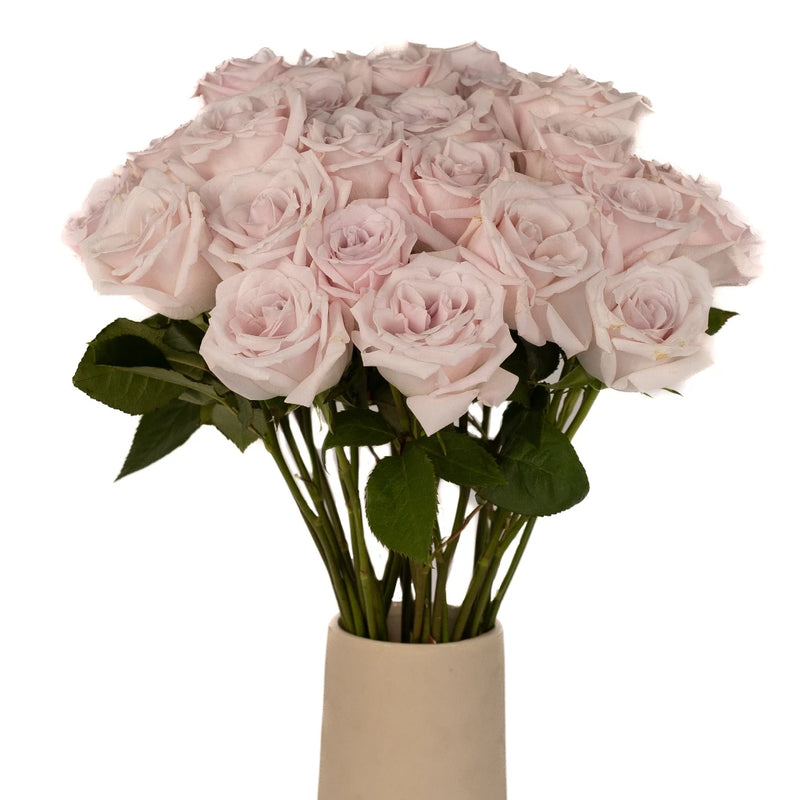 Esther Light Pink Roses Vase - Image