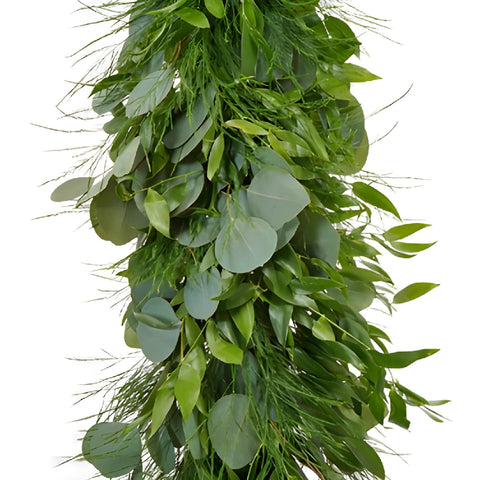 Silver Eucalyptus, Italian Ruscus, and Tree Fern Wholesale Greenery Up Close