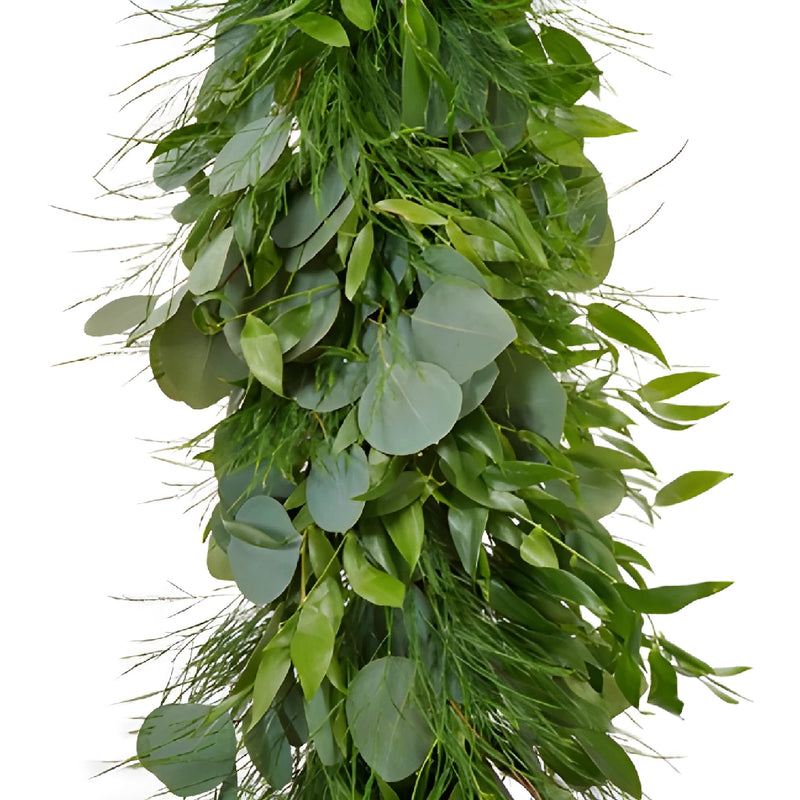 Silver Eucalyptus, Italian Ruscus, and Tree Fern Wholesale Greenery Up Close