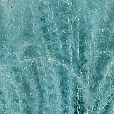 Light Blue Dried Eulalia Grass