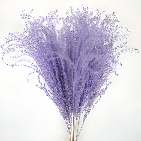 Dried Lavender Eulalia Grass