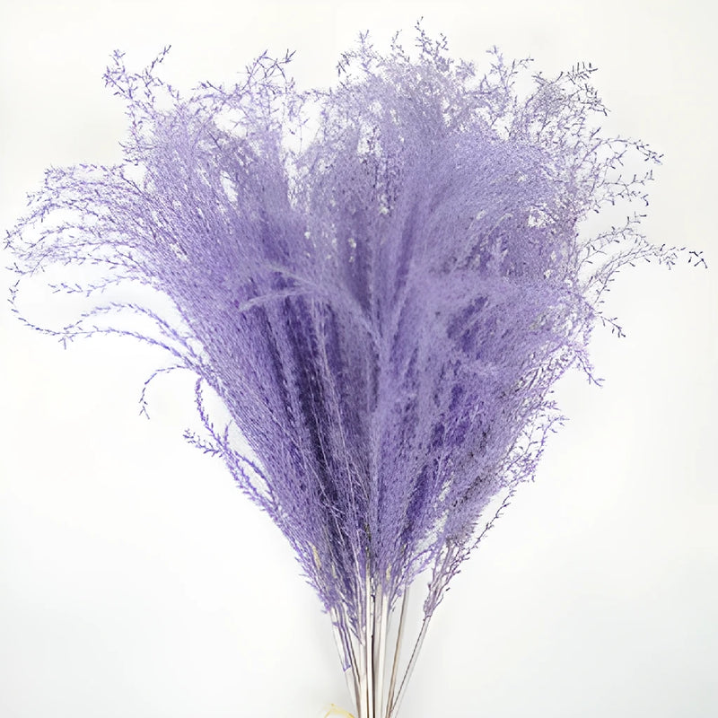 Dried Lavender Eulalia Grass