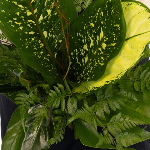 Evergreen Vegetation Greenery Kit Close Up - Image