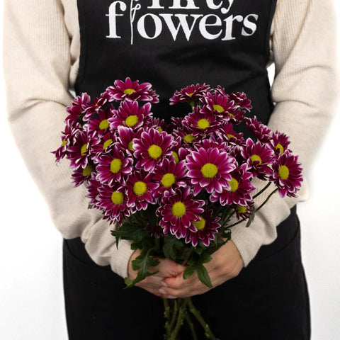 Fading Purpleberry Daisy Flower Apron - Image