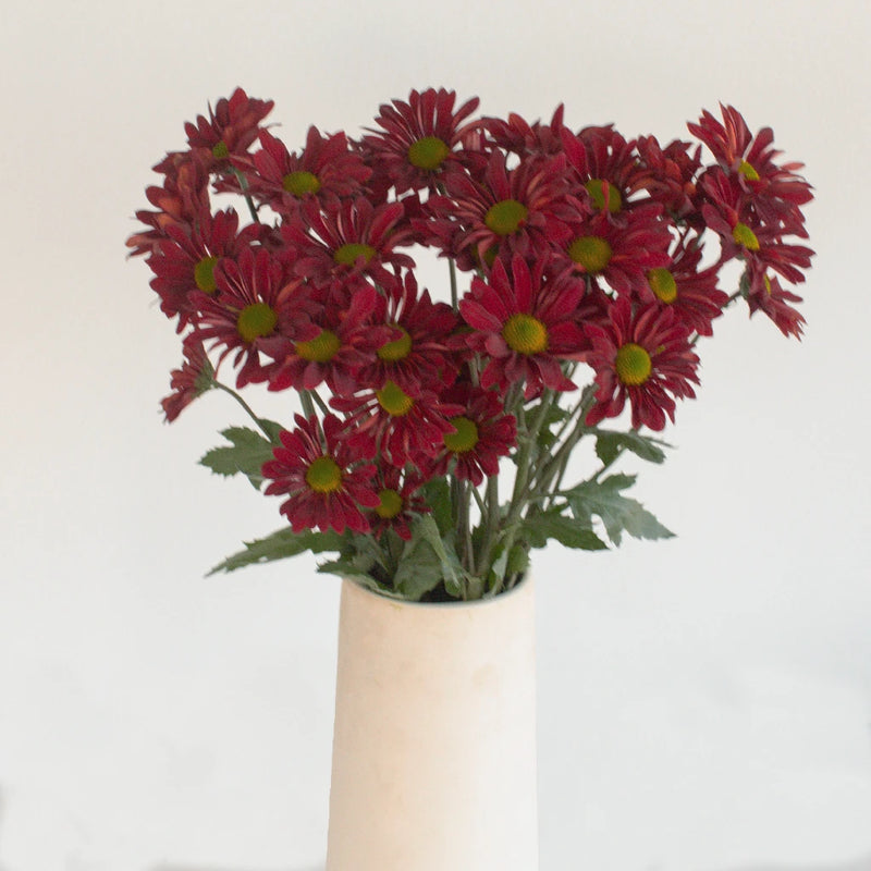Fall Red Mini Daisy Flower Vase - Image