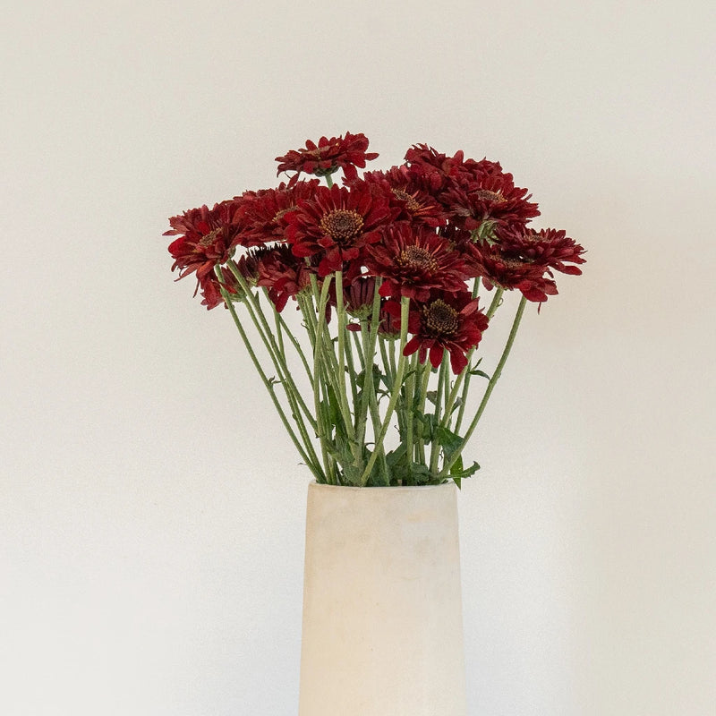 Fall Red Pom Flower Vase - Image