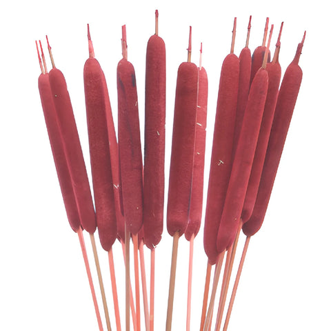 Red Airbrushed Cattails