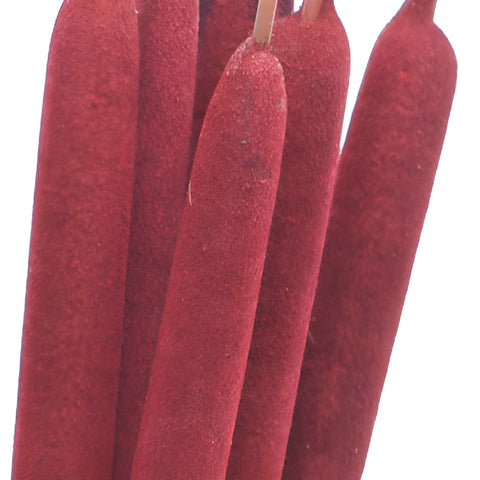 Red Airbrushed Cattails