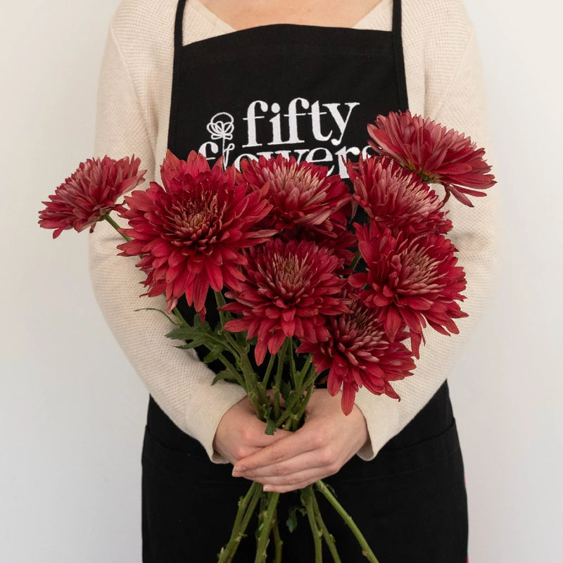 Fall Terracotta Chrysanthemum Flower Apron - Image