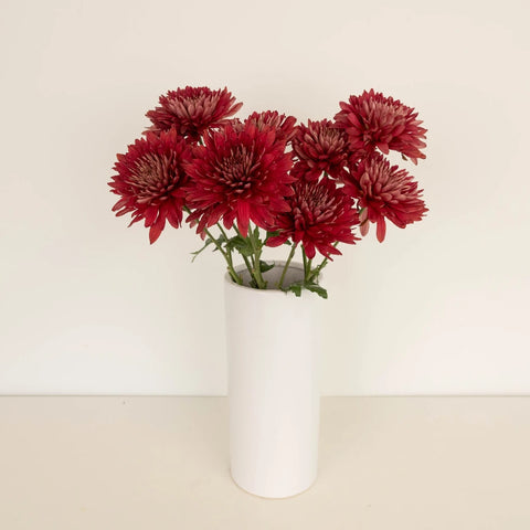 Fall Terracotta Chrysanthemum Flower Vase - Image