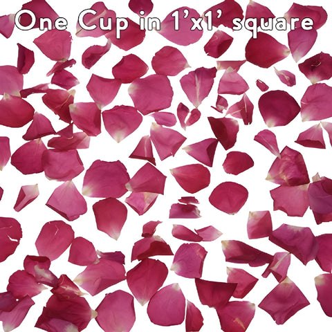Buy Dried Rose Petals