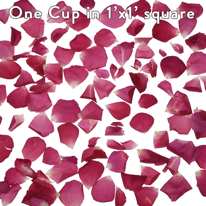 Buy Dried Rose Petals