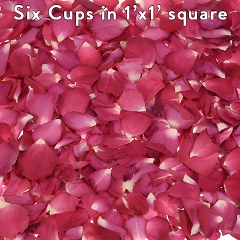 Wedding Rose Petals Dried