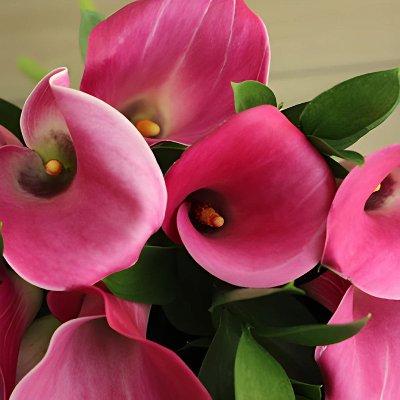 Purpleberry Mini Calla Lily Centerpieces