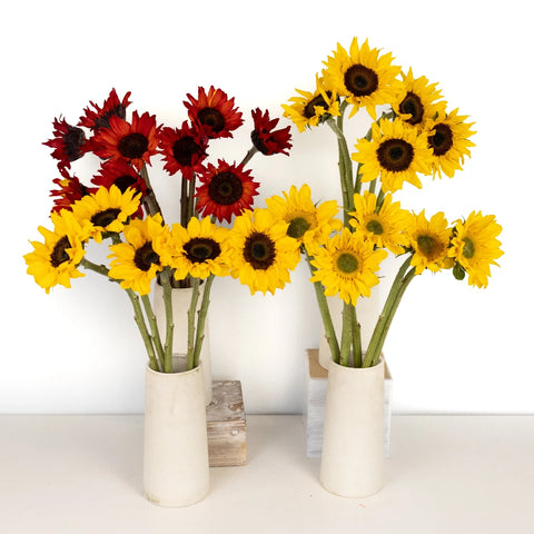 Farm Mix Bulk Mini Sunflowers For Mom Stem - Image