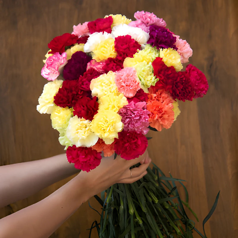 Farm Mix Carnations side stem