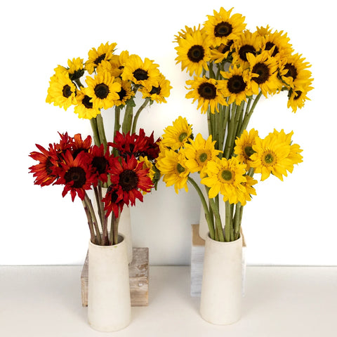 Farm Mix Mini Sunflowers For Arranging Stem - Image