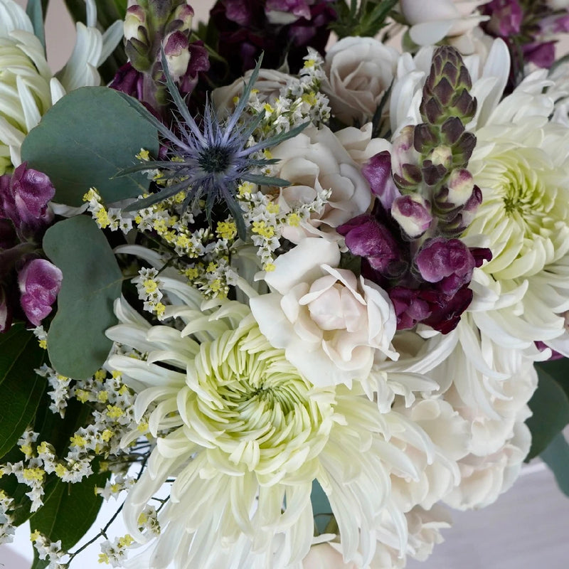 Buy Wholesale Gray Flowers in Bulk - FiftyFlowers