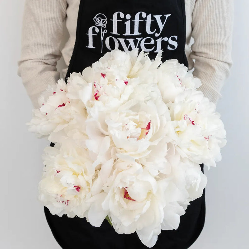 Festiva Maxima Peonies For Mothers Day Apron - Image