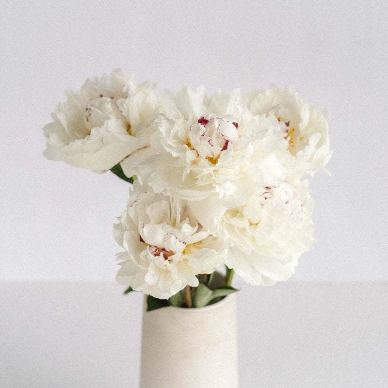 Fiesta White Peony Flowers Vase - Image