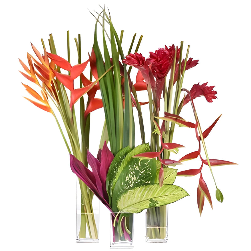 Tropical Sangria DIY Flower Kit