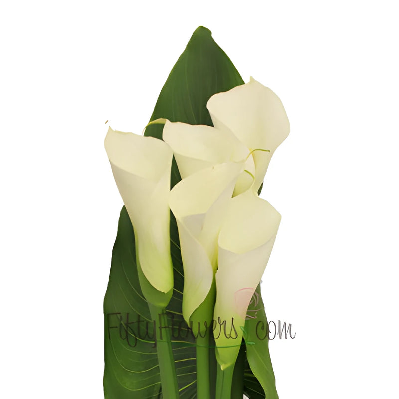 Classic White Calla Lily and Leaf Flower Centerpieces