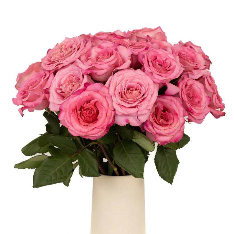 Flamingo Pink Garden Rose Vase - Image