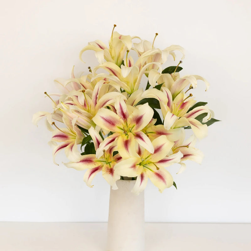 Flashy Hot Pink Oriental Lily Vase - Image