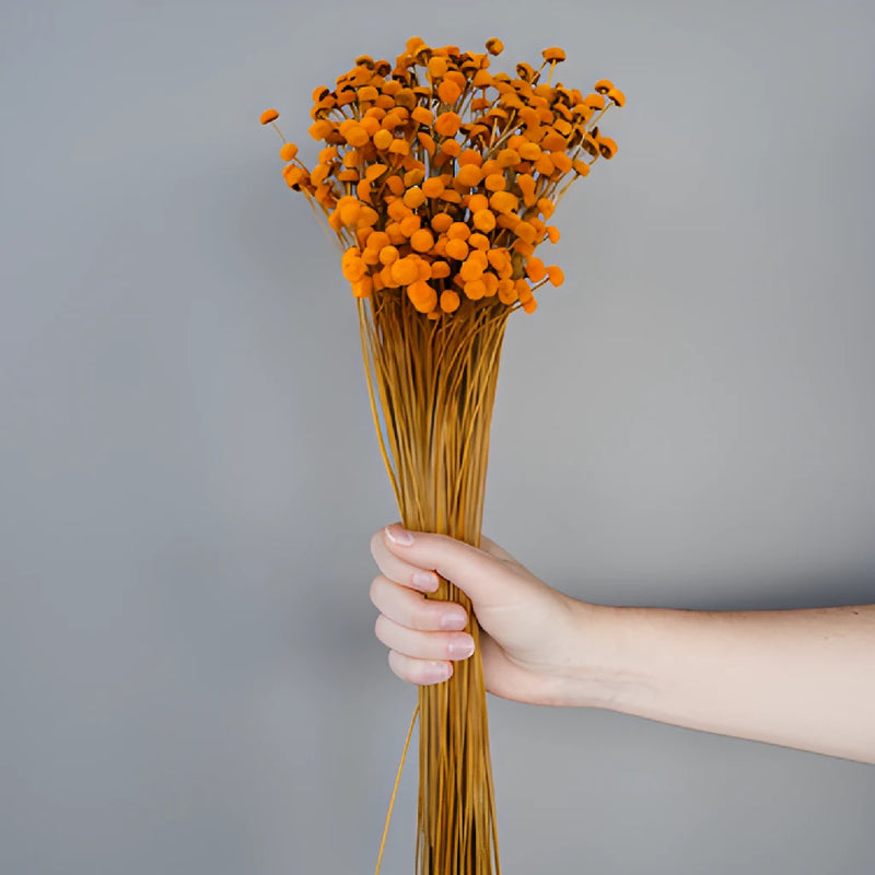 Burnt Orange Dried Floral Buttons