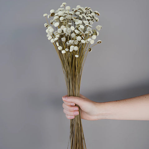 Vintage White Dried Floral Buttons