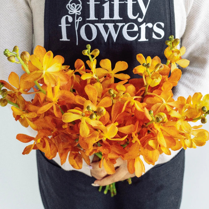 Florida Sunset Mokara Orchid Apron - Image