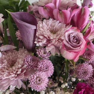 Flower Combo Mauve Purple Diy Pack Close Up - Image