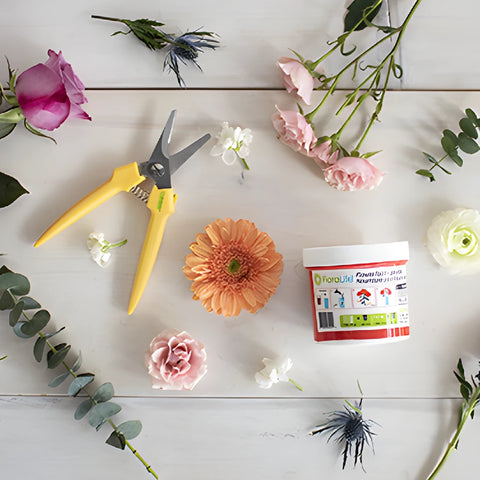 Flower Care Kit Floralife Flatlay