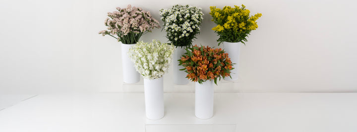 Morning Magic DIY Flower Kit