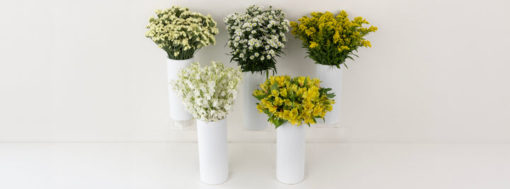 Sunny Magic DIY Flower Kit