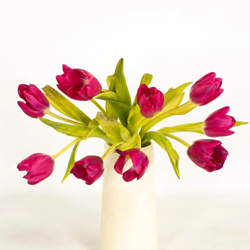 Flushed Tulips Vase - Image
