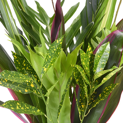 Royal Tropical Greenery Centerpiece
