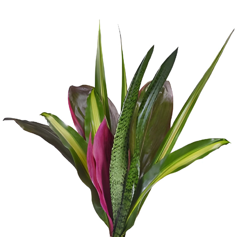 Touch of Purple Tropical Greenery Centerpiece